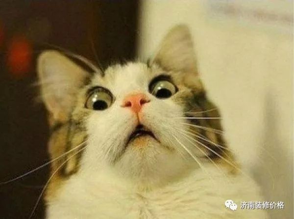 济南靠谱装修公司价格,济南装修省钱报价预算