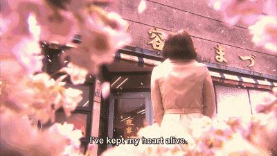 被嫌弃的松子是怎么样的,被嫌弃的松子如何自救