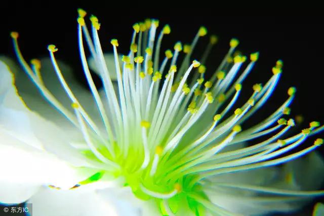 爱一个人放不下的情感,忘不了放不下的心痛