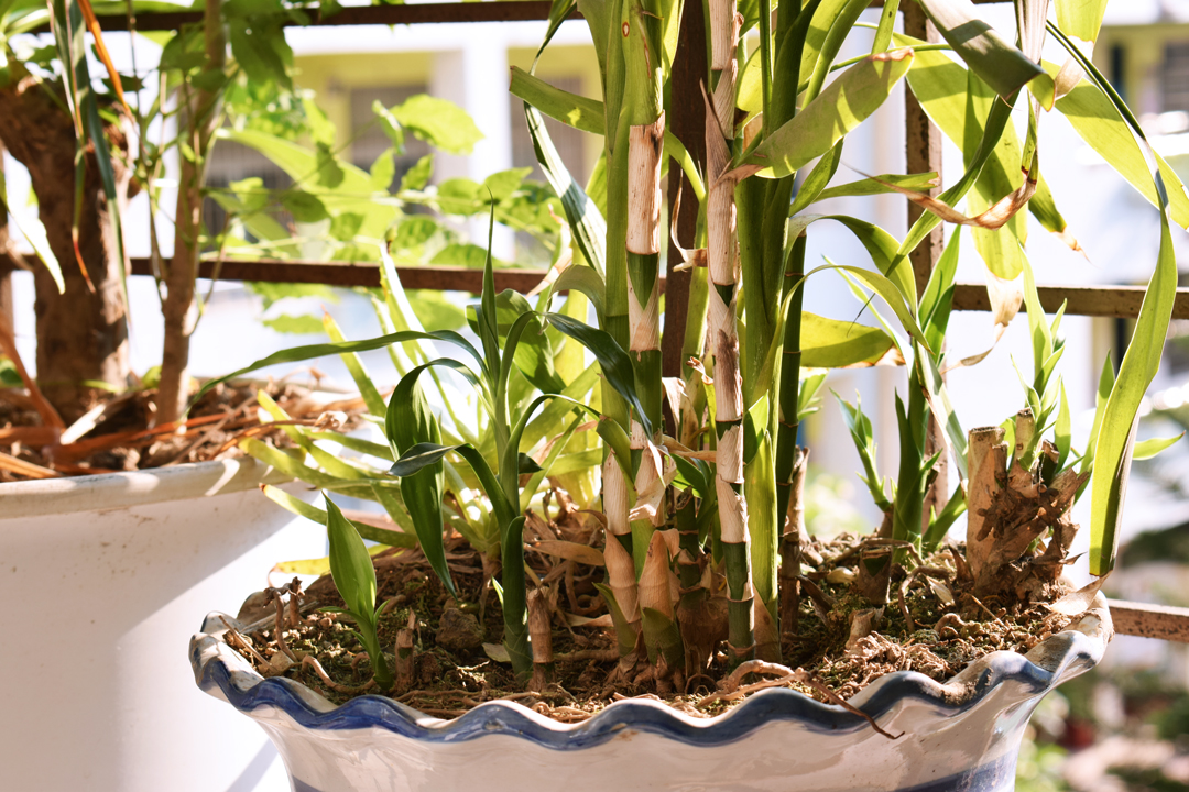 金士顿canvastf卡,金士顿128gbu1tf卡读写评测