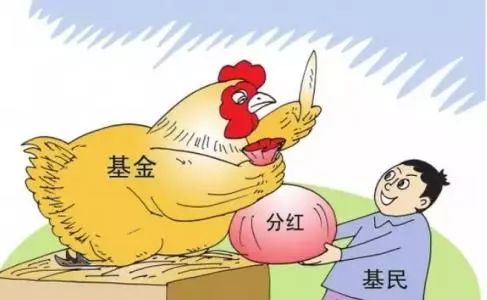 基金分红次数为什么越多越好,不分红的基金越多越好