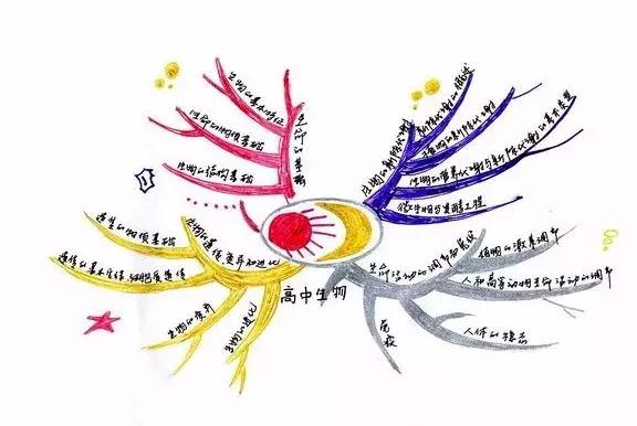 清华北大学霸总结的数学学习方法,清华北大学霸英语学习方法