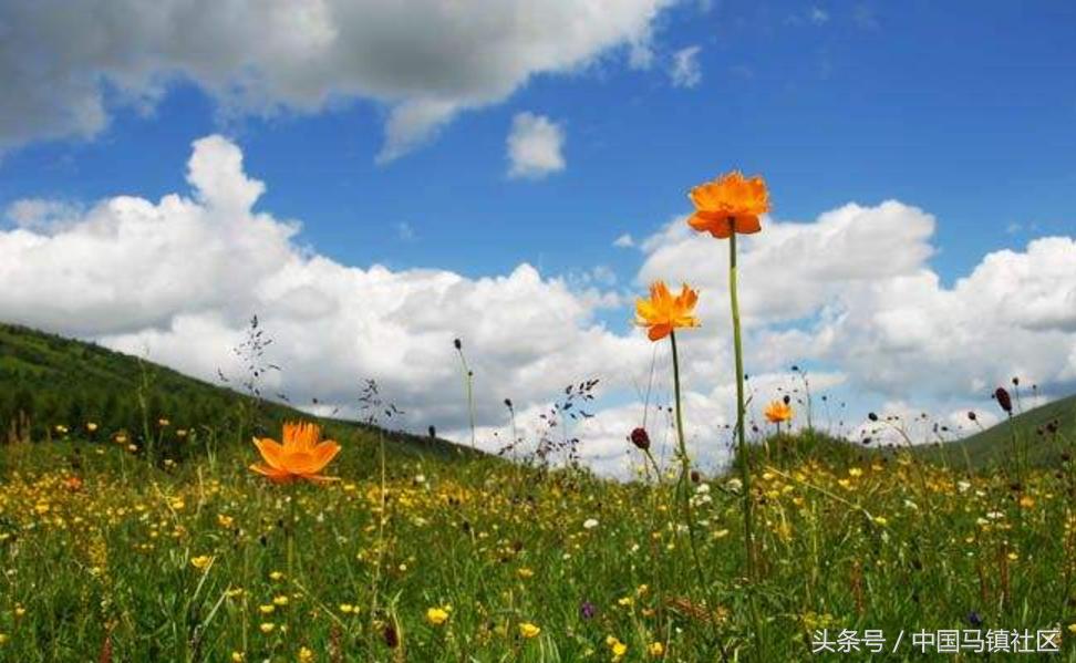7月份去承德坝上草原注意什么,7月份坝上