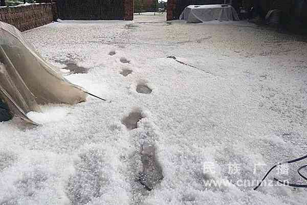 「晨报:小鸟热点预测」2018.0612-全网热点事件和问答列表