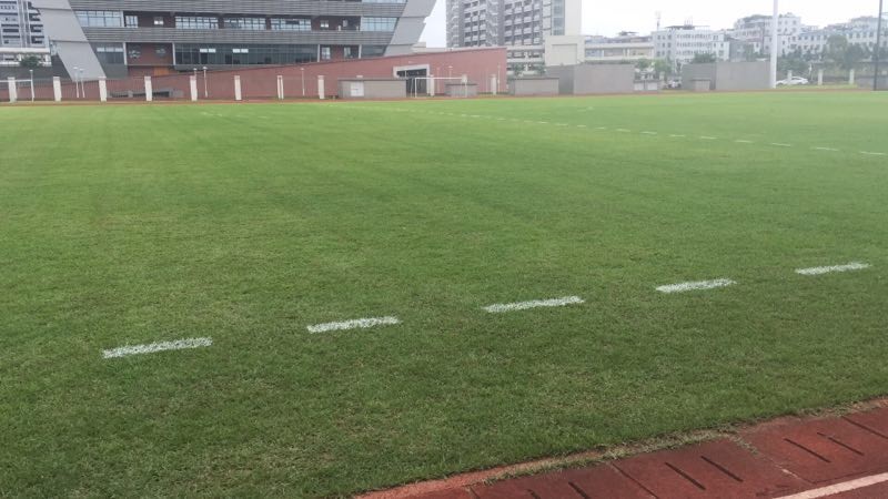 富力最新征集队名单,广州富力梯队7号