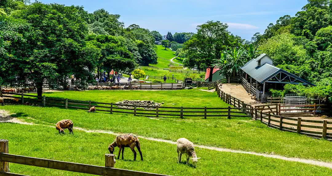 有味道的科学小实验,关于有味道的科学小实验