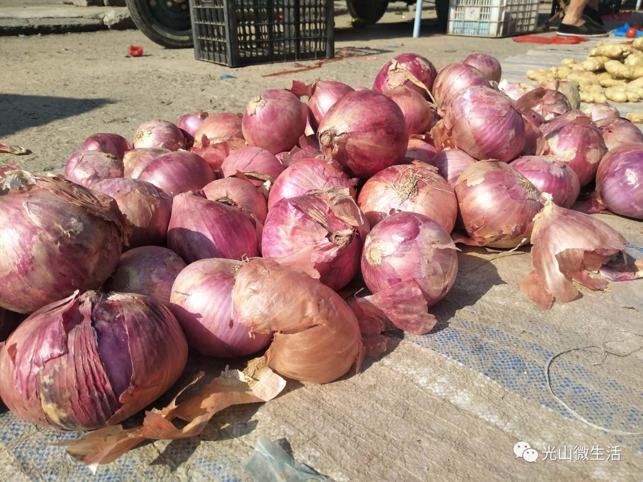 朝阳寺大市场,光山县朝阳寺市场
