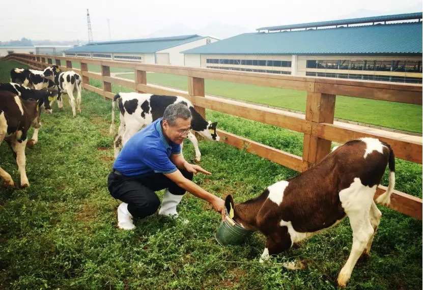 击退洋奶粉,这次以质取胜!