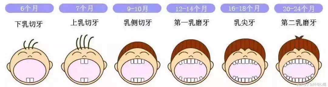 孩子换双排牙,小孩大了双排牙最佳解决方法