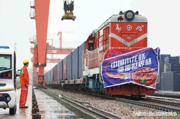 白岩松世界杯解说,白岩松世界杯幕后