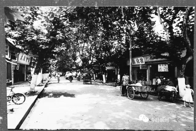 老崇州们，清代的崇州全貌保证你没见过