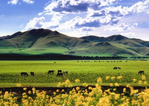 河北张家口旅游景点大全,张家口免费的旅游景区