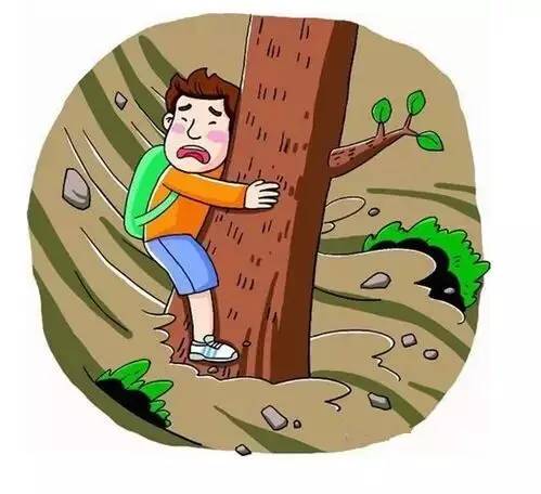 全民防灾应急手册,关键时刻能救命实用应急手册