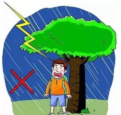 全民防灾应急手册,关键时刻能救命实用应急手册