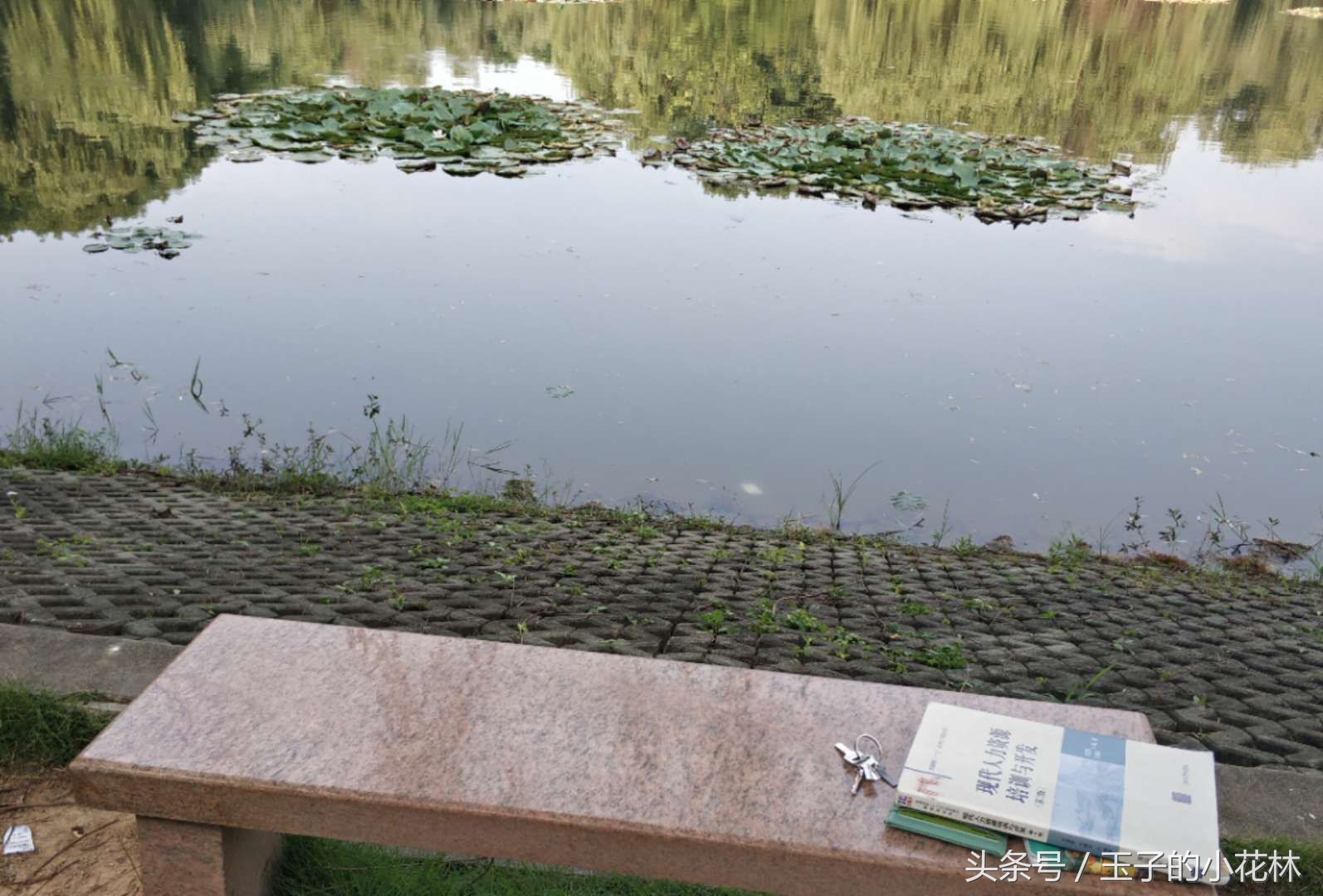 华为手机掉水里了正确处理方法,手机掉水里1秒就捞起来有事吗