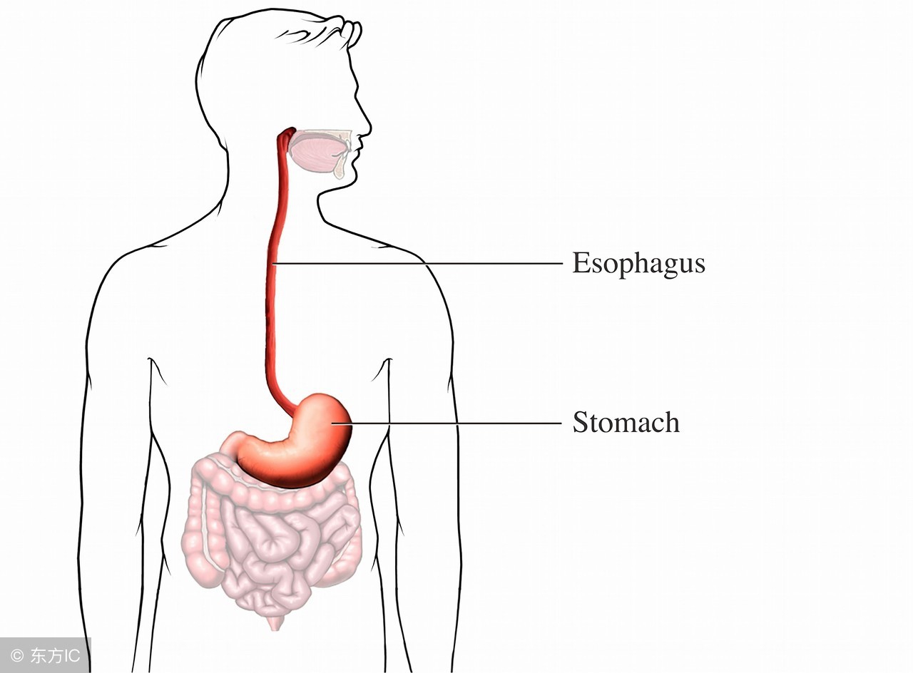 怎样预防消化道出血,如何预防应激性消化道出血