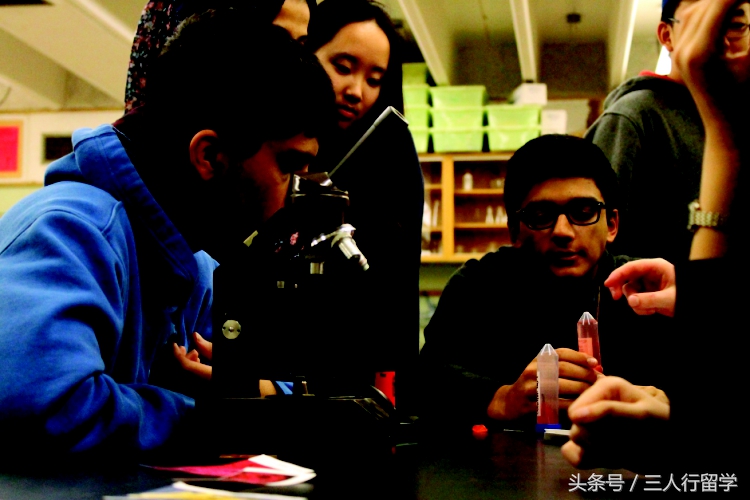 加拿大圭尔夫高中,加拿大圭尔夫教育局