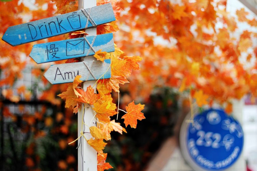 这个夏天我们再邂逅一次厦门吧,这个夏天想跟你再去一次厦门