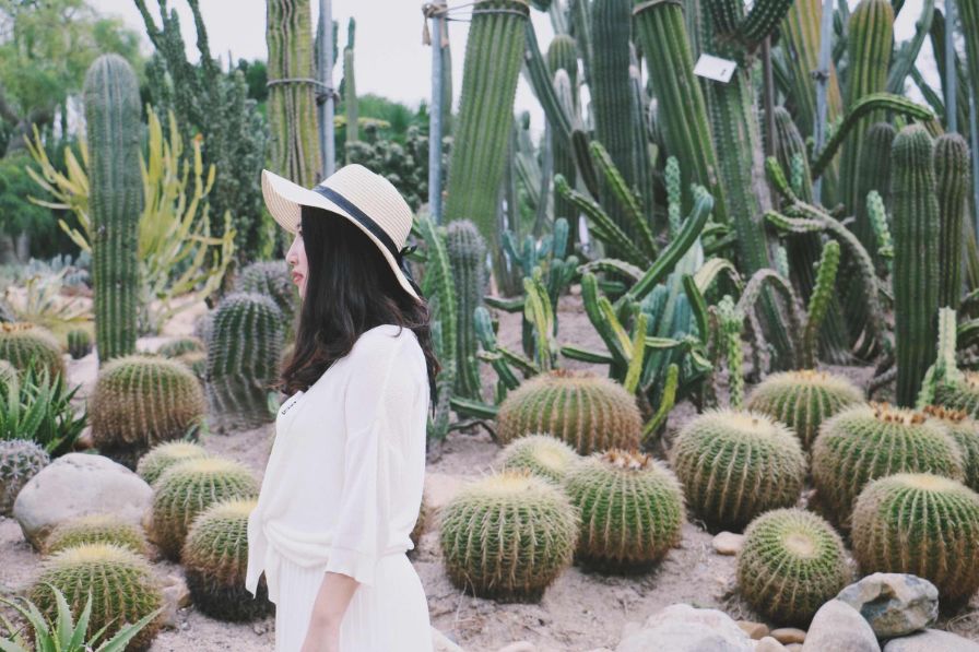 这个夏天我们再邂逅一次厦门吧,这个夏天想跟你再去一次厦门