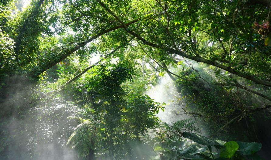 这个夏天我们再邂逅一次厦门吧,这个夏天想跟你再去一次厦门
