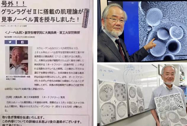 pola哪支精华好用,pola精华怎样