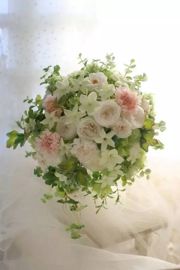 永生花注意事项图,永生花的鉴别方法