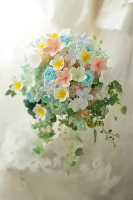 永生花注意事项图,永生花的鉴别方法