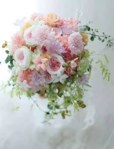 永生花注意事项图,永生花的鉴别方法