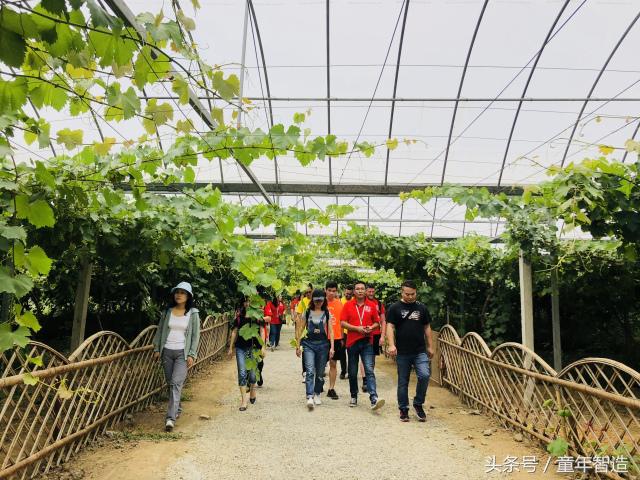 「探营」辣么贵的国际营到底好在哪？