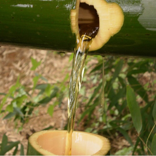 原生态健康养生酒,原生态竹筒酒推荐红色