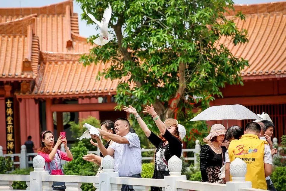 哈尔滨泼水成冰篝火晚会,篝火打跳泼水狂欢活动主题