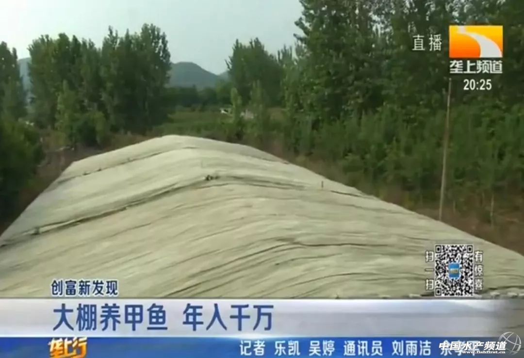 工厂化大棚养殖甲鱼,大棚养殖甲鱼一亩投资多少钱