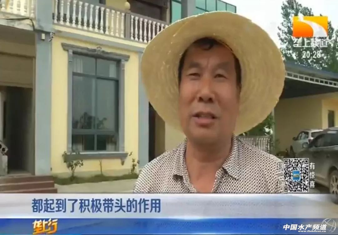 工厂化大棚养殖甲鱼,大棚养殖甲鱼一亩投资多少钱