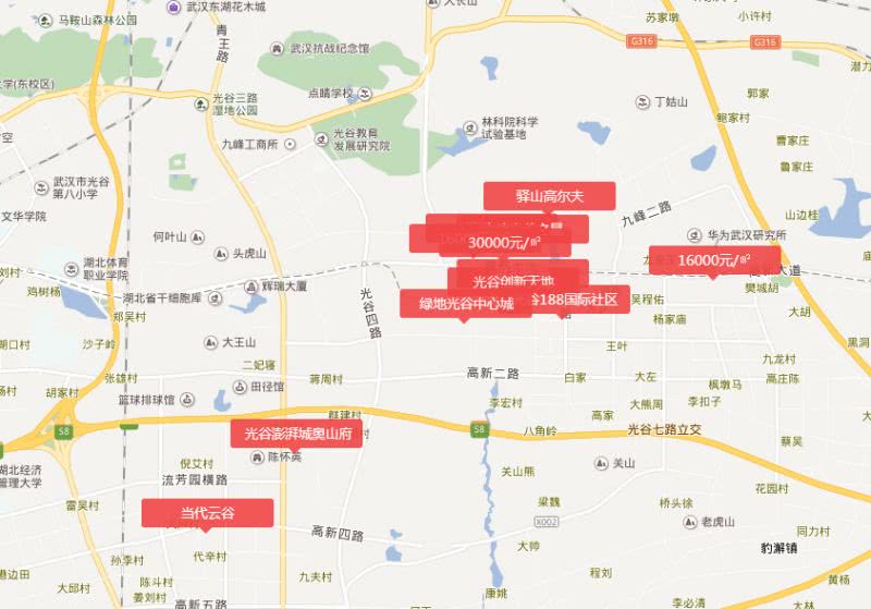 怎么看待武汉光谷楼市,实探滨江楼市