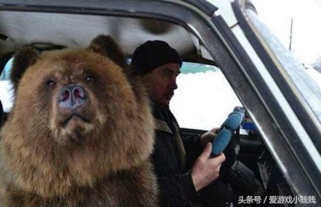 steam全球激活码和国区激活码,steam国区激活码和全球激活码