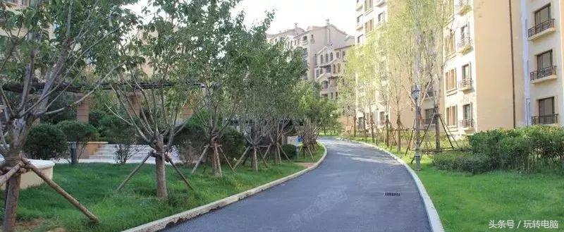 专线网络为什么那么快?和家庭网络的区别在哪?