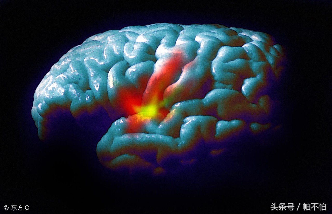 手抖一定是帕金森病吗,手抖是遗传吗