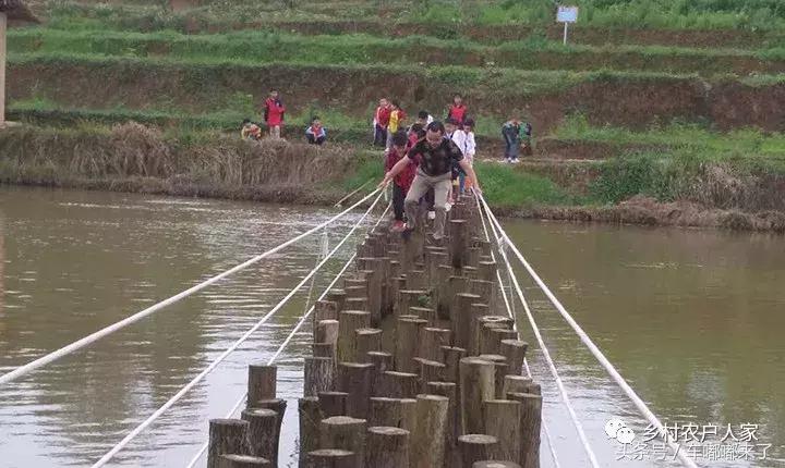 这个月去长寿泥地足球、赏百亩向日葵花海、划竹筏/皮船