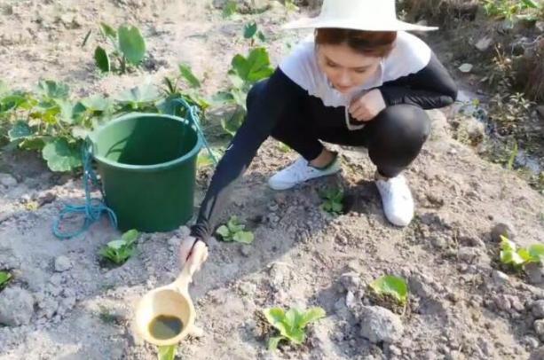 从性感女神到乡下小妹,张琪格开启户外直播变形记,网友:不容易