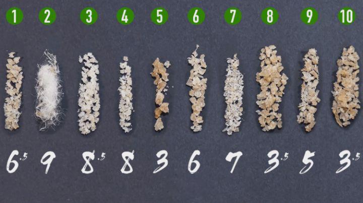 植物燕窝到底是真的吗,植物燕窝与天然燕窝有什么区别