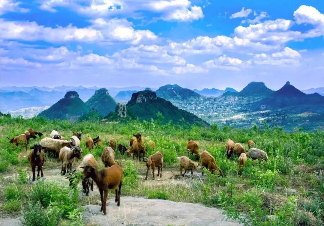 岱崮地貌免费景点,岱崮地貌旅游区自驾攻略