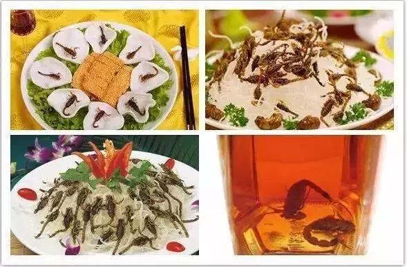 岱崮地貌免费景点,岱崮地貌旅游区自驾攻略