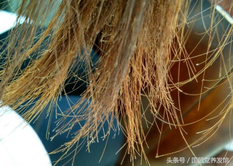 怎样改善头发发尾开叉的问题,发尾干枯分叉还有断节怎么护理
