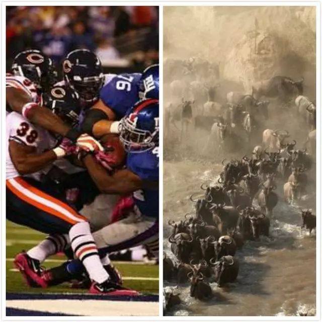 玩橄榄球对篮球有帮助吗,打篮球和橄榄球