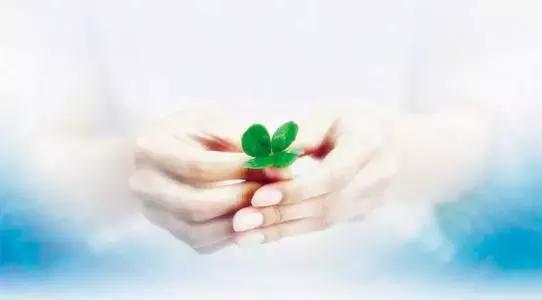 中国文化背景下的欧文·亚隆团体治疗冲击一|没有规则带来的困扰