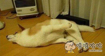 尿急的你就是这样的2018-06-12