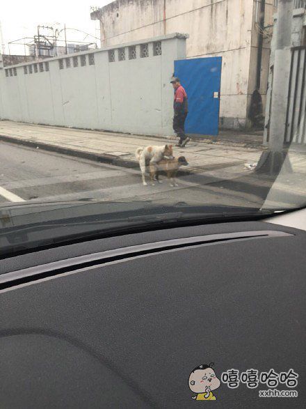 尿急的你就是这样的2018-06-12