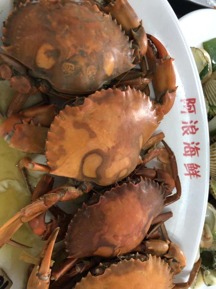 在三亚拍写真,三亚美食真实拍摄