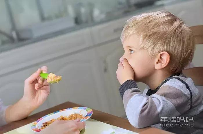 霍思燕为什么不让嗯哼上幼儿园,嗯哼四岁语言能力