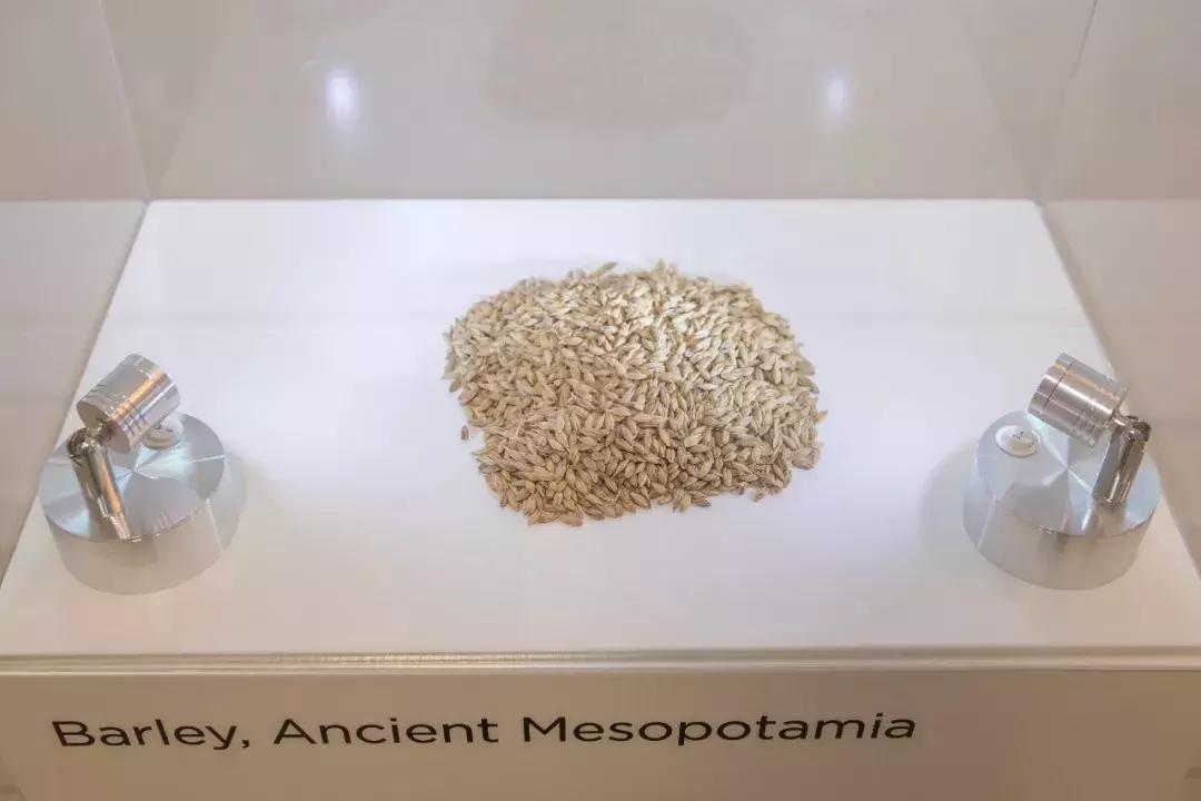 为什么支付宝被选为新四大发明,支付宝被称为新时代四大发明